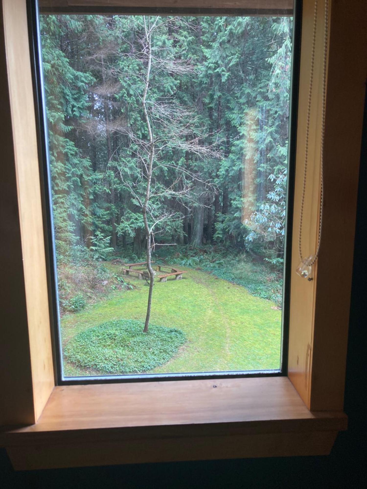 Forest Haven Hideaway Roberts Creek Exterior photo